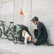 Hundetrailer THULE Bexey M, grøn (Hazy Green) - Cykelbarnestole og anhængere - 800000 - 4