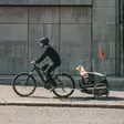 Hundetrailer THULE Bexey M, grøn (Hazy Green) - Cykelbarnestole og anhængere - 800000 - 5