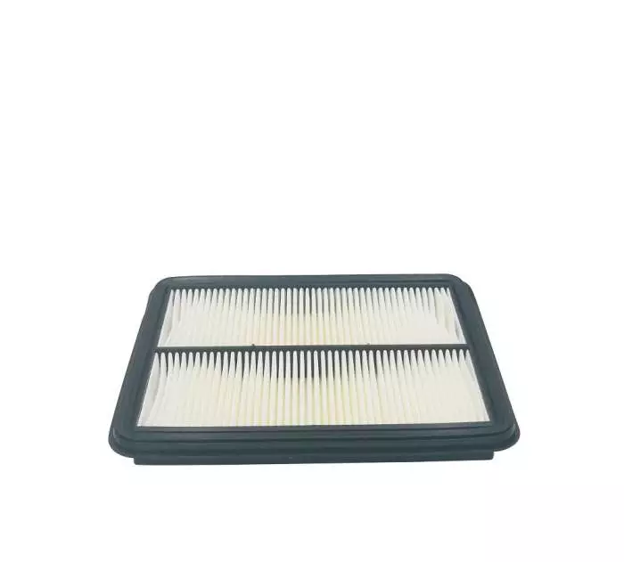 Rotary Luftfilter, Honda CXV 630-660-690 / Stiga Estate-Park-Tornado - Honda filtre - 442-21047 - 1